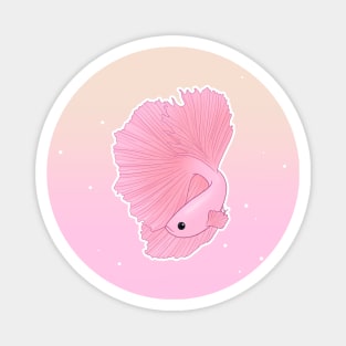 Veiltail Betta Fish, Soft Pink Coloration II Magnet